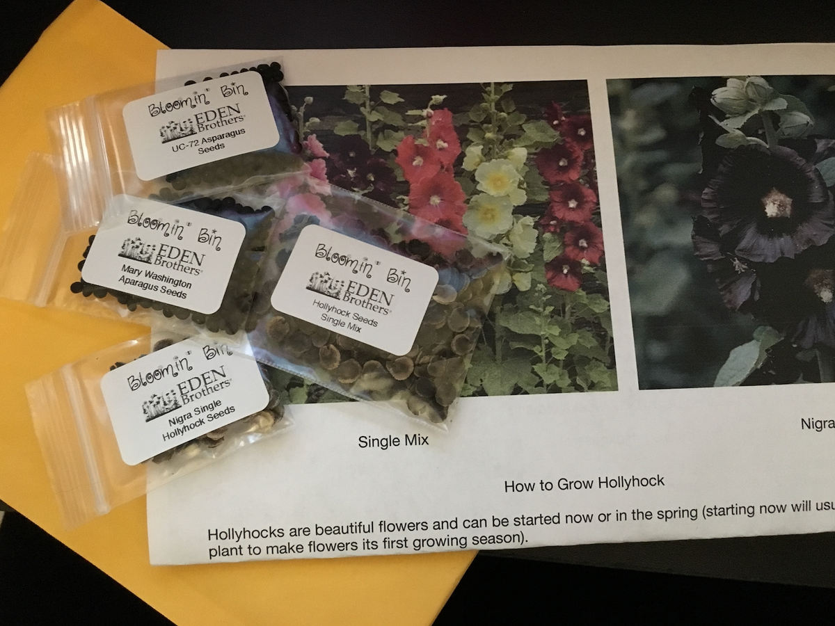 12 month Just the Seeds of the Month subscription Bloomin' Bin