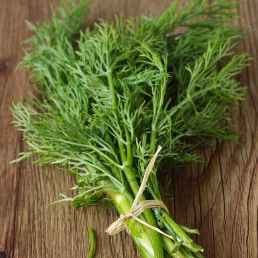 Dill