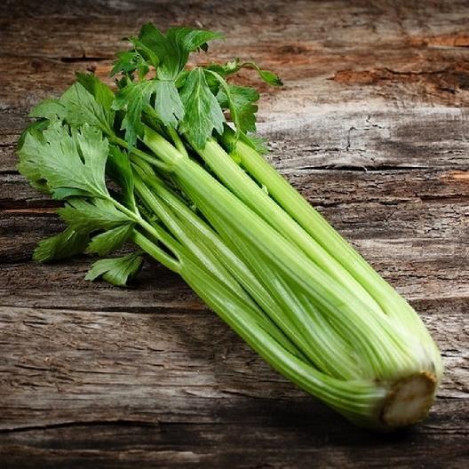 Celery