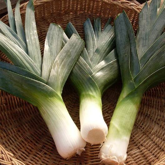Leeks