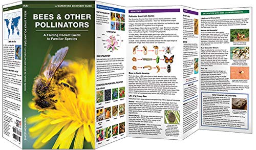 Bees and Other Pollinators