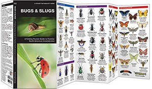 Bugs and Slugs