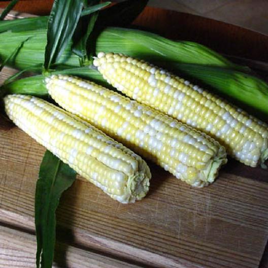 Peaches & Cream Corn