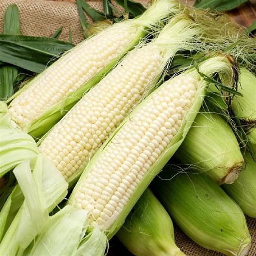 Stowell's Evergreen Corn