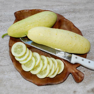 White Wonder Cucumber