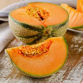 Charentais Cantaloupe