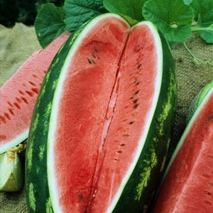 All Sweet Watermelon