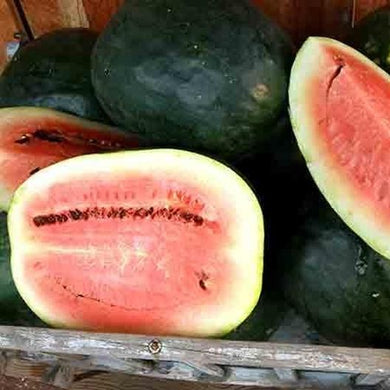 Black Diamond Yellow Belly Watermelon