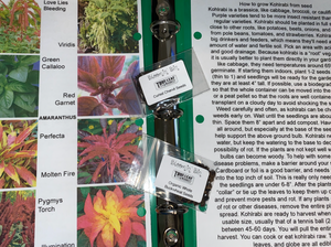 12 month Just Seeds of the Month Premium subscription
