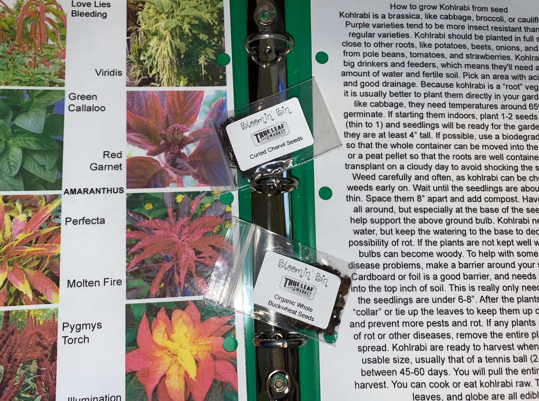 12 month Just Seeds of the Month Premium subscription