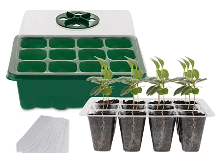 Starter Tray with Lid
