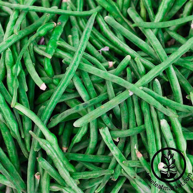 Jade Bush Bean