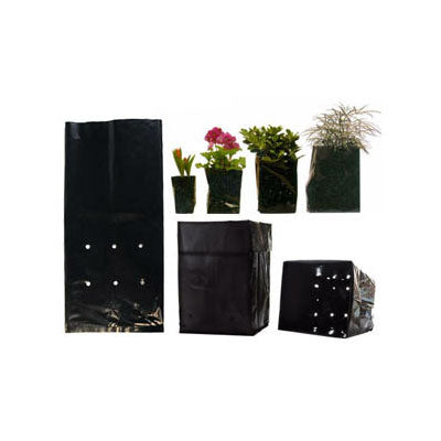 3 Gallon Plastic Grow Bag