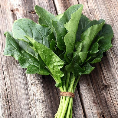 Bloomsdale Spinach