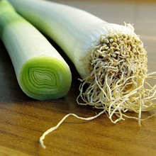 Load image into Gallery viewer, Early Giant Leeks