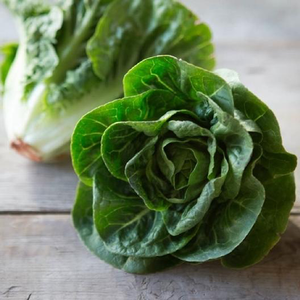 Little Gem Lettuce