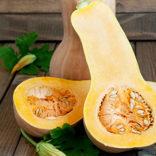 Waltham Butternut Squash