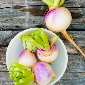 Purple Top White Globe Turnip