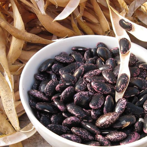 Scarlet Emperor Runner Bean