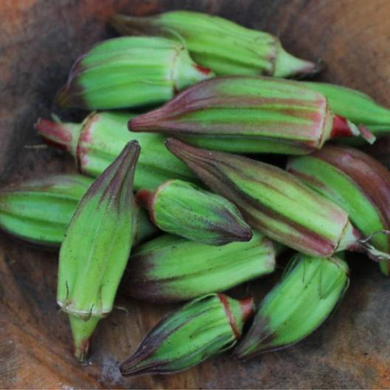 Hill Country Red Okra