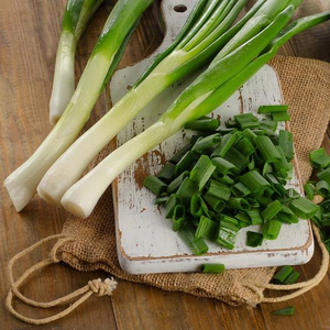 Tokyo Long White Bunching Onion