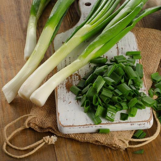 Tokyo Long White Bunching Onion