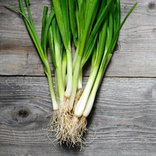 White Lisbon Bunching Onion