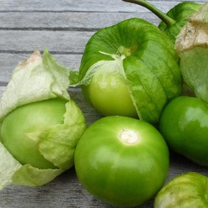 Rio Grande Verde Tomatillo