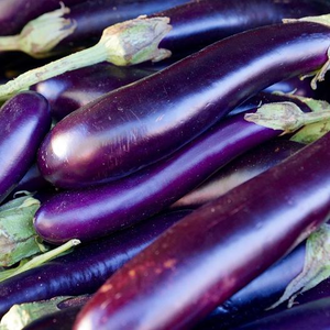 Long Purple Eggplant