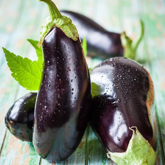 Black Beauty Eggplant