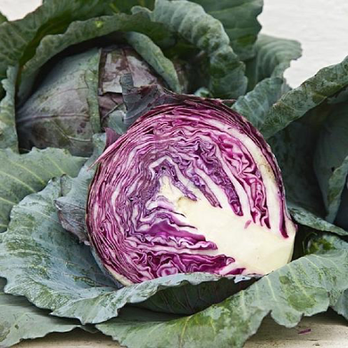 Red Acre Cabbage