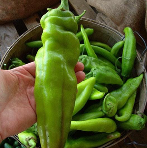 Big Jim Pepper