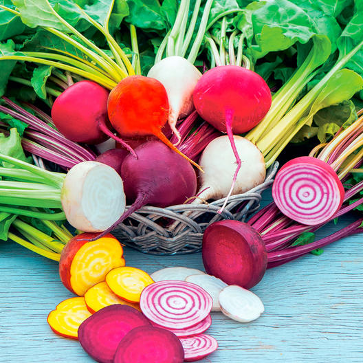 Rainbow Beet