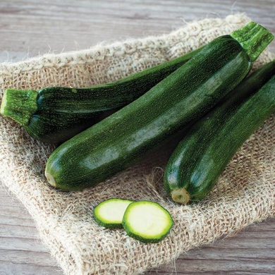 Black Beauty Summer Squash