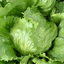 Load image into Gallery viewer, Iceberg Lettuce