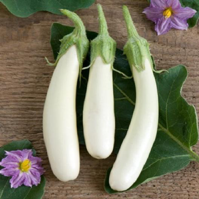 Casper Eggplant