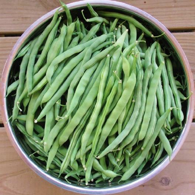 Blue Lake Pole Bean