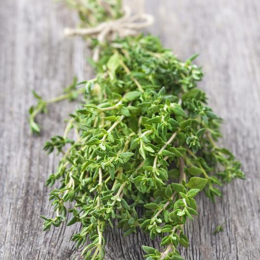 Thyme